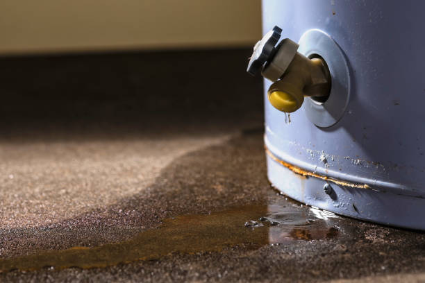 Best Water damage restoration experts  in Vado, NM