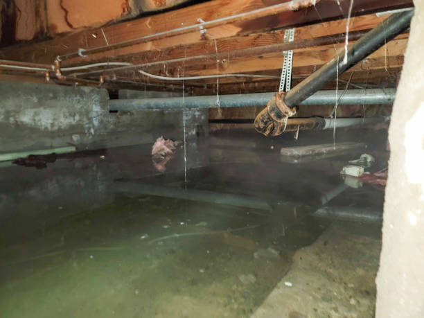 Best 24-hour water damage restoration  in Vado, NM