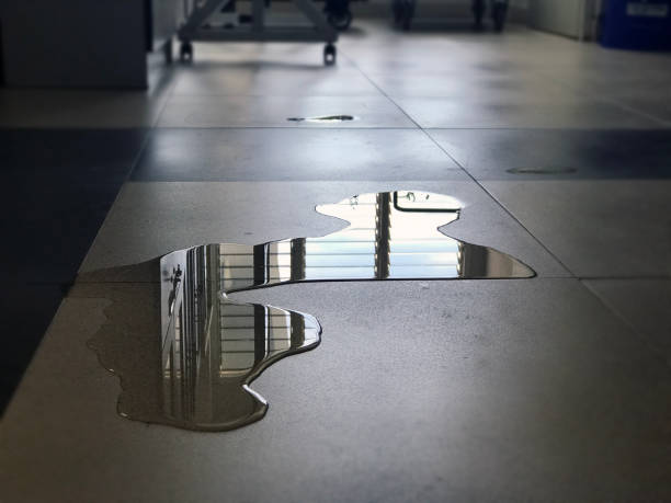Best Water damage restoration company  in Vado, NM