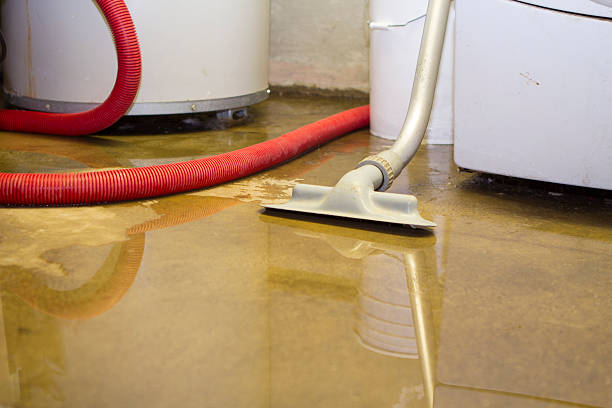 Best Water damage cleanup near me  in Vado, NM