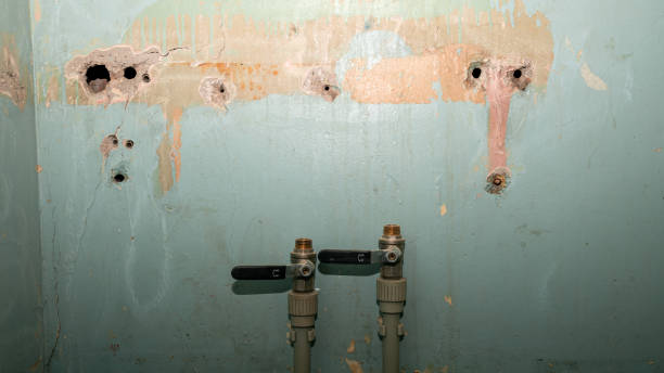 Best Flood restoration services  in Vado, NM