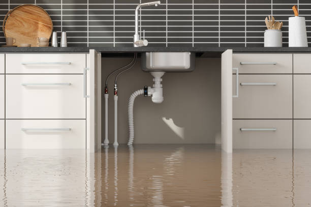 Best Carpet water damage restoration  in Vado, NM