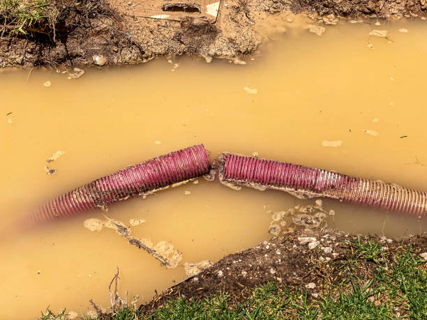 Best Water damage restoration near me  in Vado, NM
