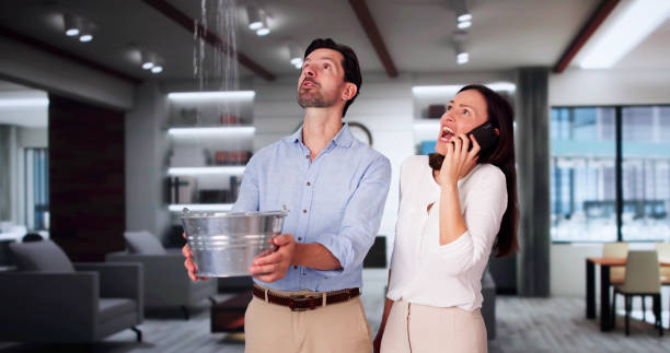 Best Mold removal after water damage  in Vado, NM